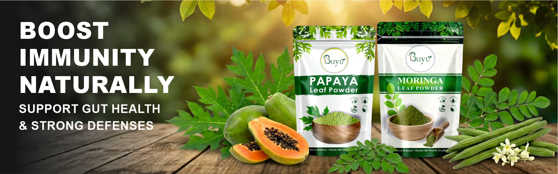 DIGESTION & GUT HEALTH