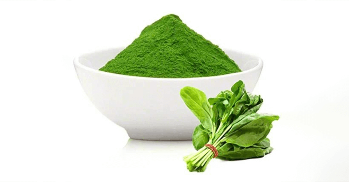 Dehydrated Spinach Leaves/Powder