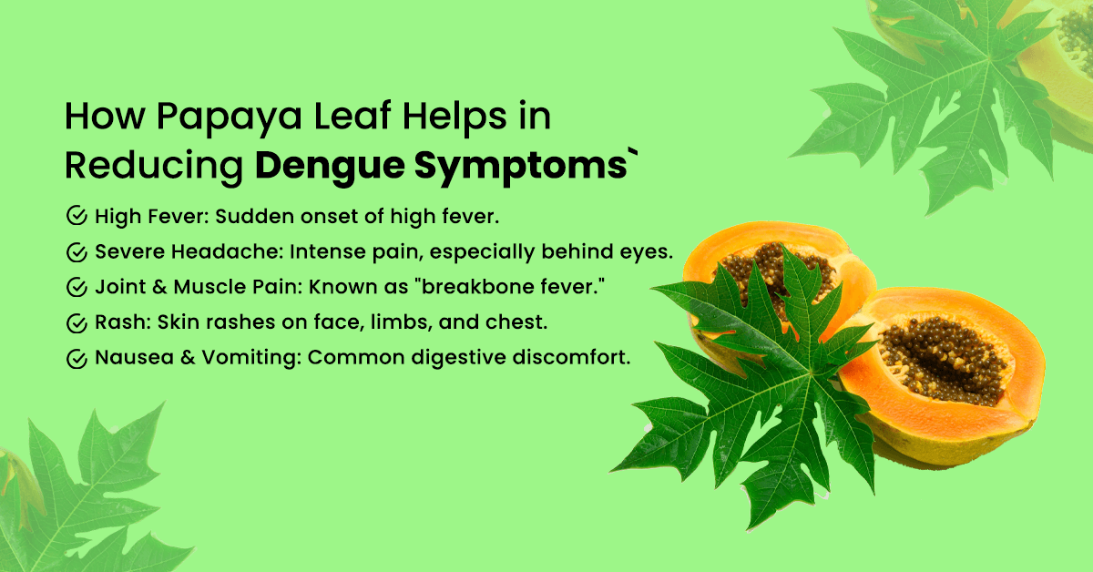 How Papaya Leaf Helps in Reducing Dengue Symptoms