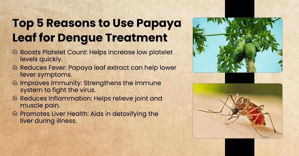 Top 5 Reasons to Use Papaya Leaf for Dengue Treatment